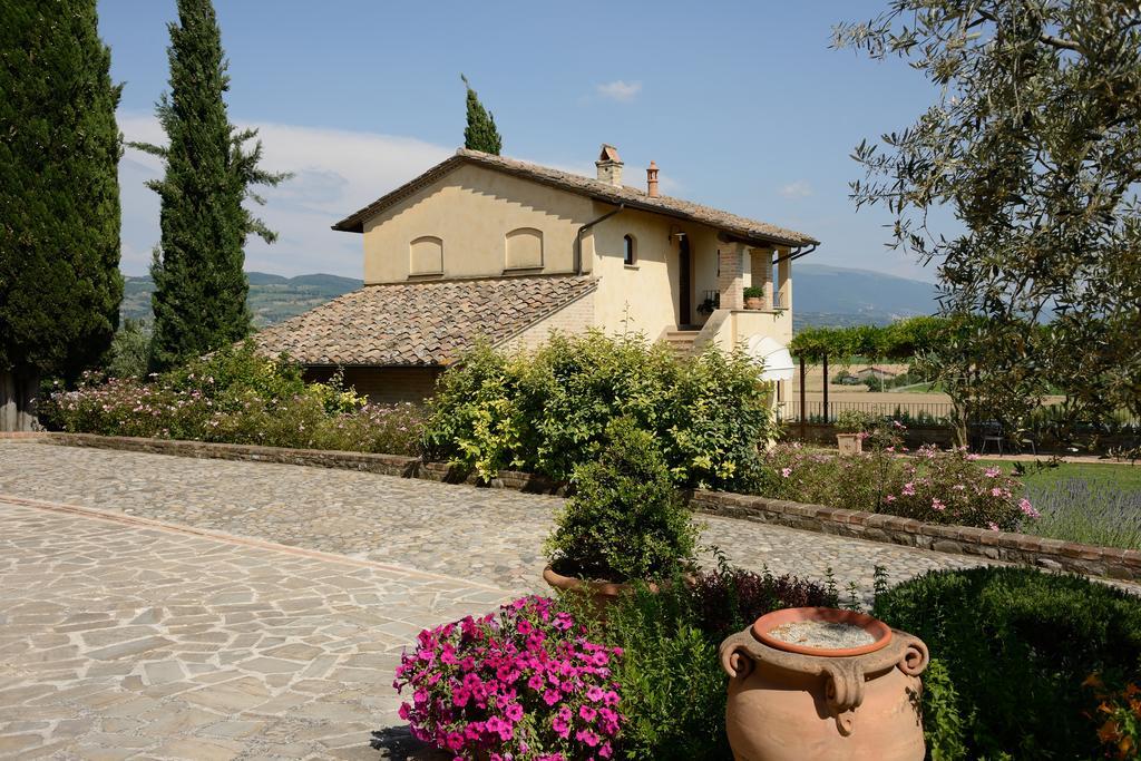 Alloggio per agricturismo Ripa Relais Colle Del Sole公司*