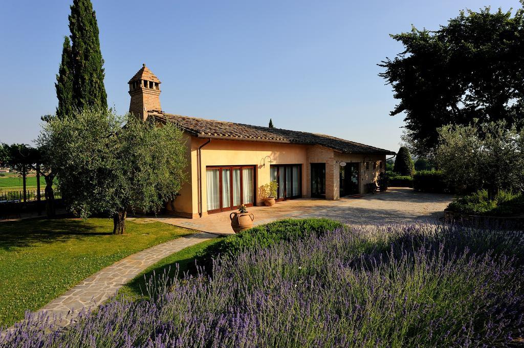 Alloggio per agricturismo Ripa Relais Colle Del Sole公司*
