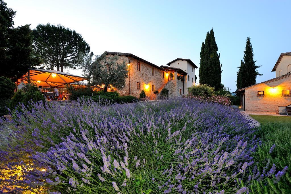 Alloggio per agricturismo Ripa Relais Colle Del Sole公司